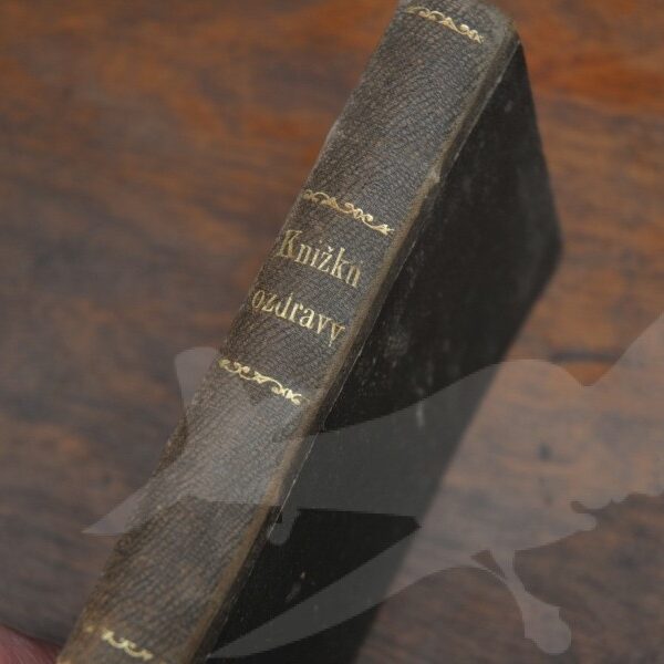 Knížka o zdraví lidském k seznání, zachování a uzdravení člověka 1867