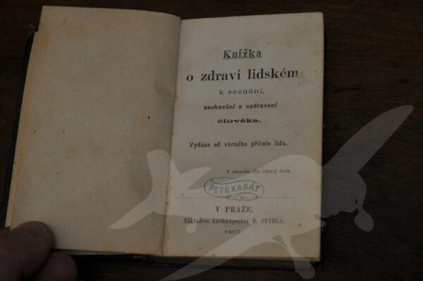 Knížka o zdraví lidském k seznání, zachování a uzdravení člověka 1867 - Image 6