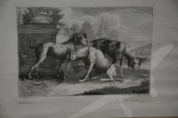 Barokní mědirytina Johan Elias Ridinger – Lovečtí psi III. - Image 4