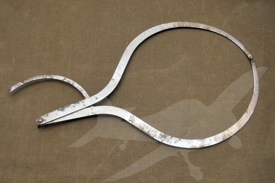 Lékařský měřící nástroj – Frenologie II.